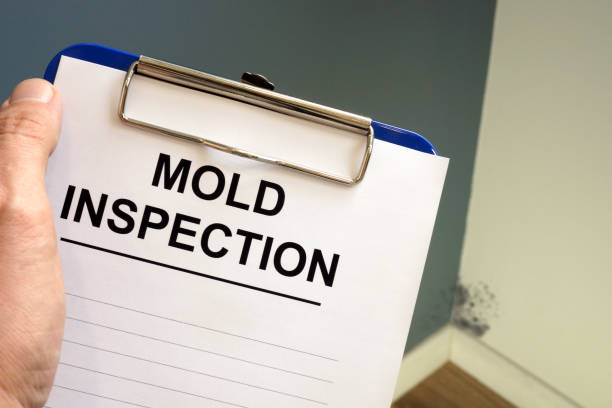 Best Mold Removal for HVAC Installations  in Lititz, PA